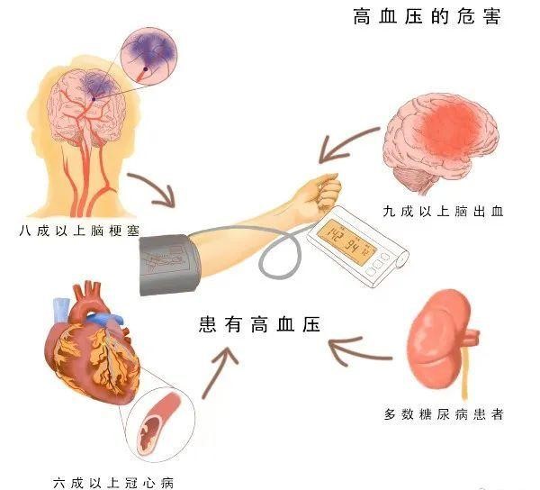 高血压怎么调理才能恢复？